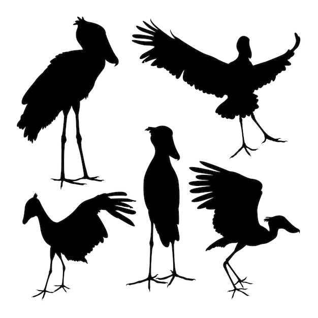 Shoebill animal silhouettes