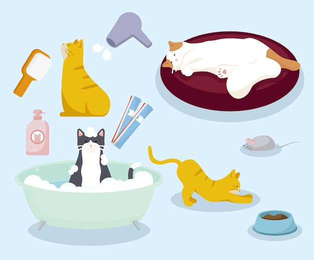 shower cat and pet items illustration set tub bubble snack nap wash Vector drawing Hand drawn