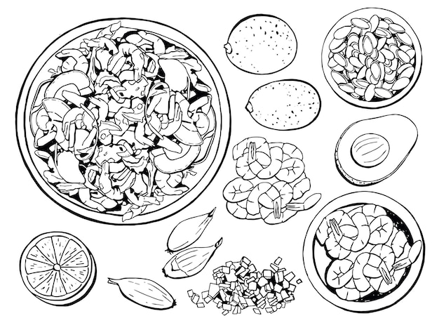 Vector shrimp and avocado salad food ingredients for cooking recipe vector sketch illustration set