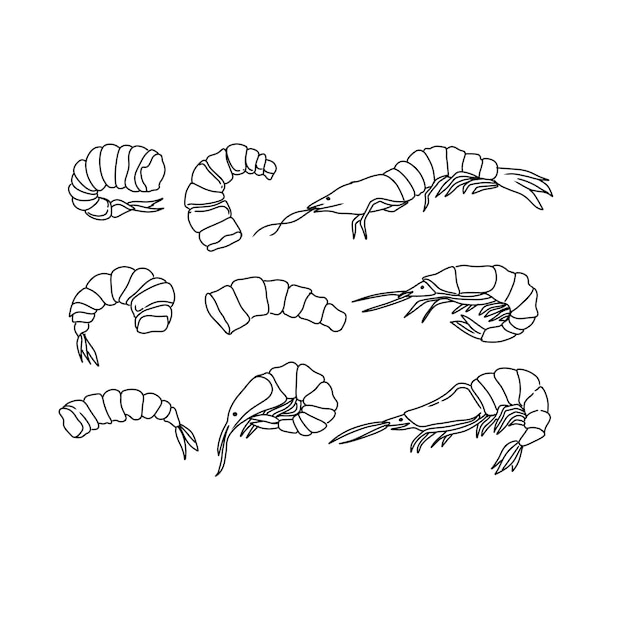 shrimp hand drawn doodle illustrations vector set