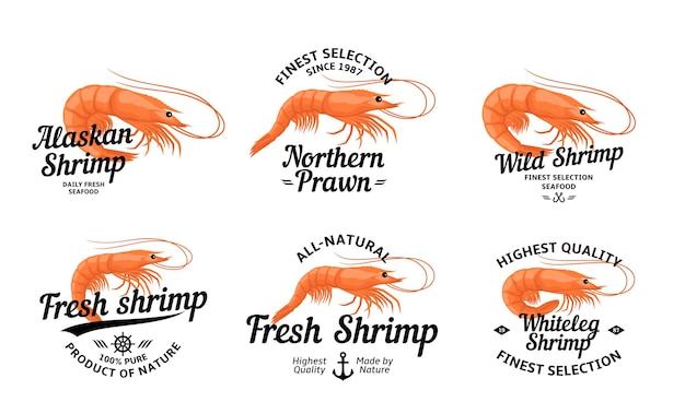 Shrimp logo and shrimp illustrations