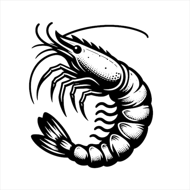 Shrimp Svg