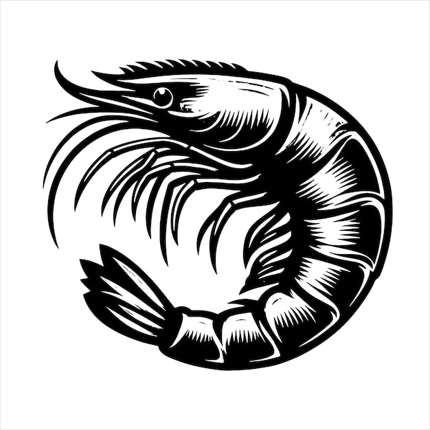 Shrimp Svg