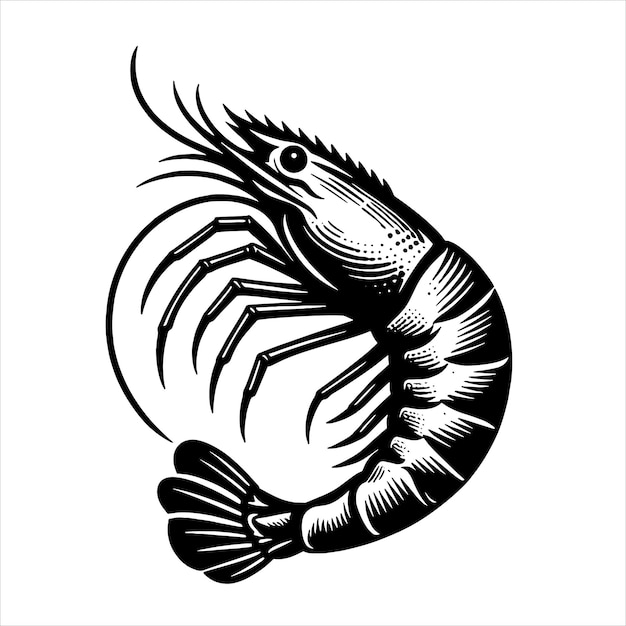 Shrimp Svg