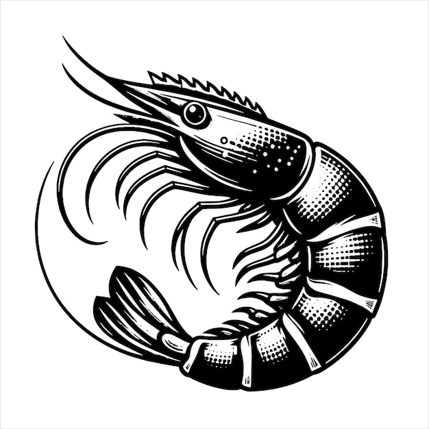 Shrimp Svg