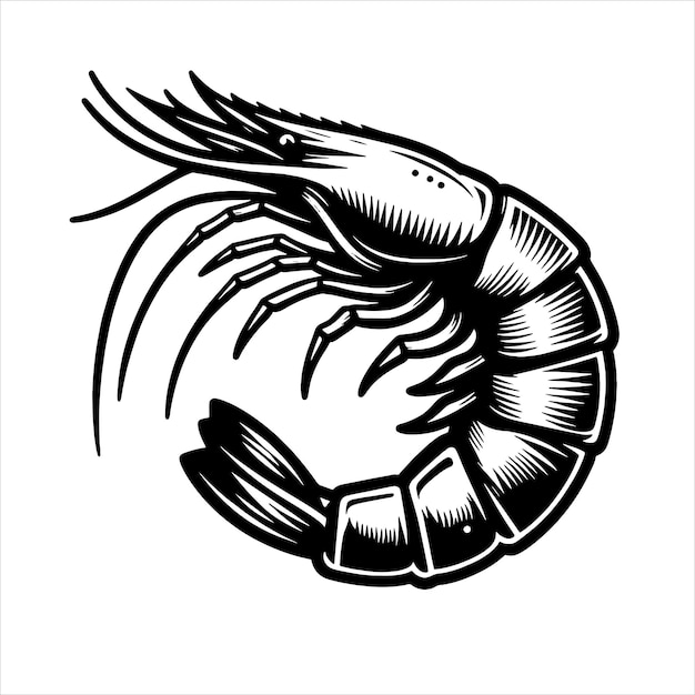 Shrimp Svg