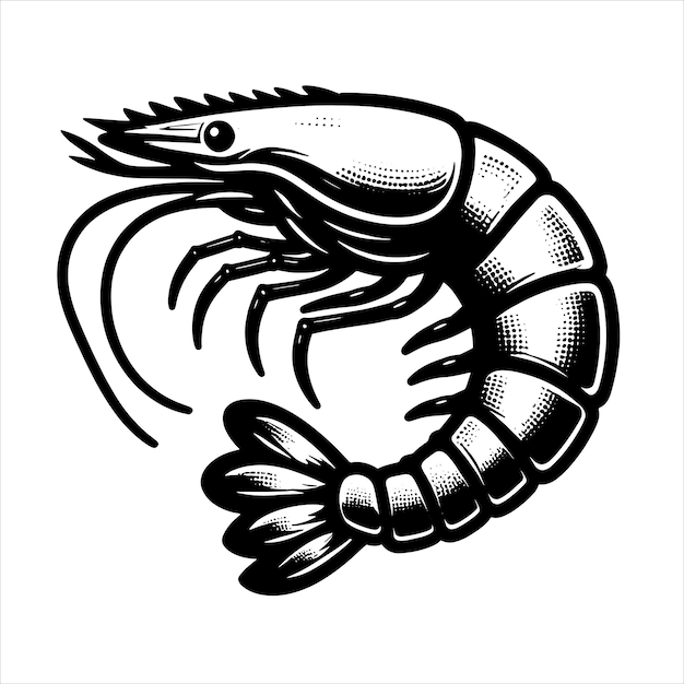 Shrimp Svg