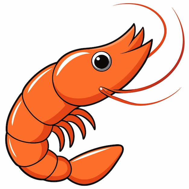 Vector shrimp vector clipart art illustration solid white background 10