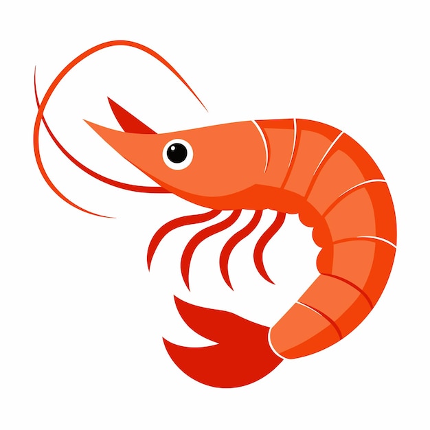 Shrimp vector clipart art illustration solid white background 2