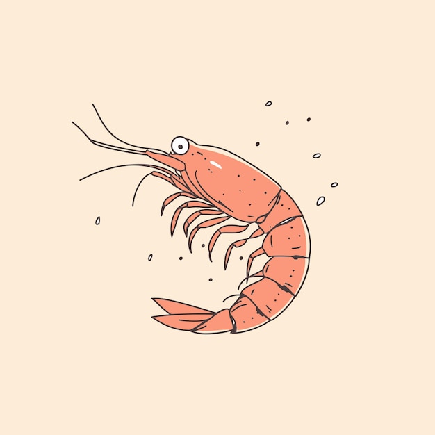 Shrimp vector cute