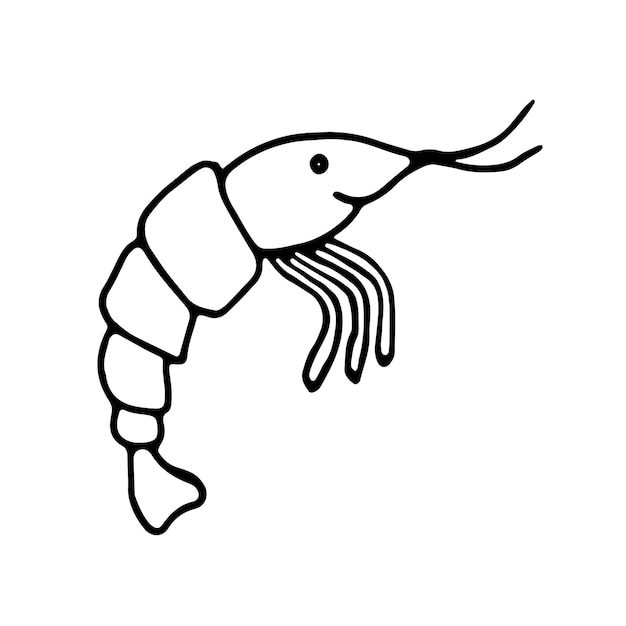 Shrimp Vector doodle hand drawing Outline contour icon for seafood meal menu or kids coloring book