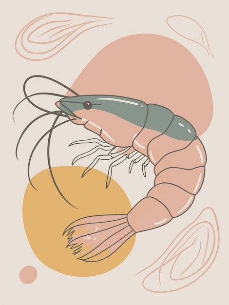 Vector shrimp vector graphics illustration eps source file format lossless scaling icon design