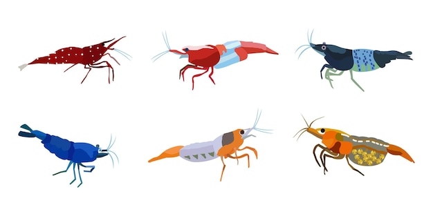 Shrimp vector illustration set Sea animal inhabitant of the aquarium