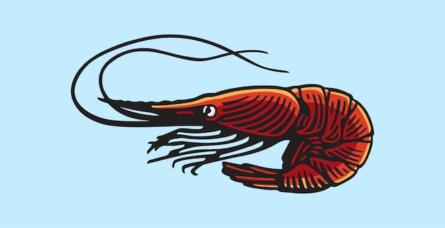 shrimp vector with colors