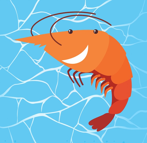 Shrimp on Water Blue Background