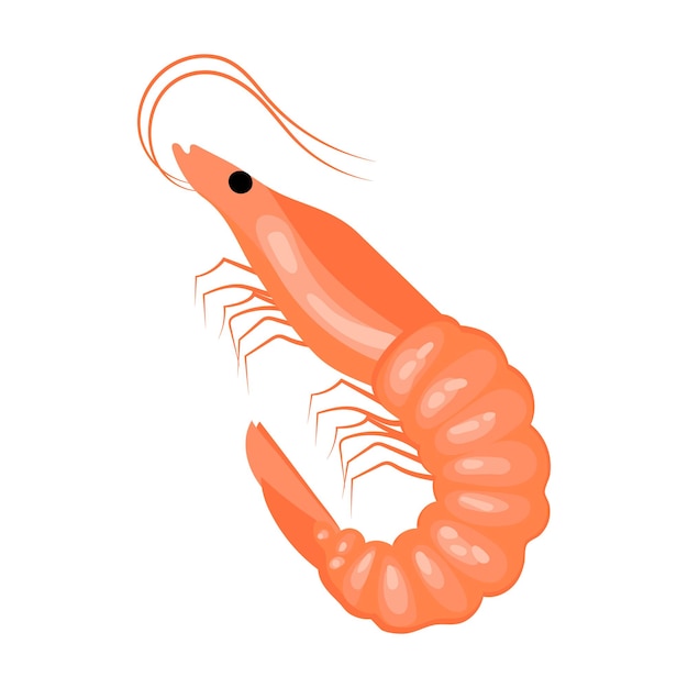 Shrimp on a white background seafood Illustration menu icon vector