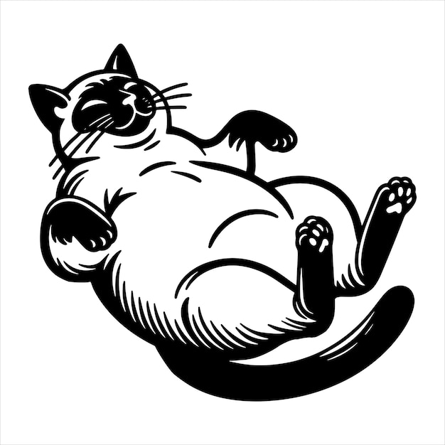 Vector siamese cat belly up svg