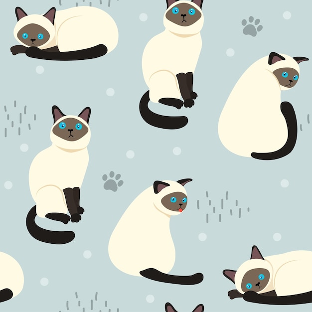 Siamese Cat seamless pattern background vector design