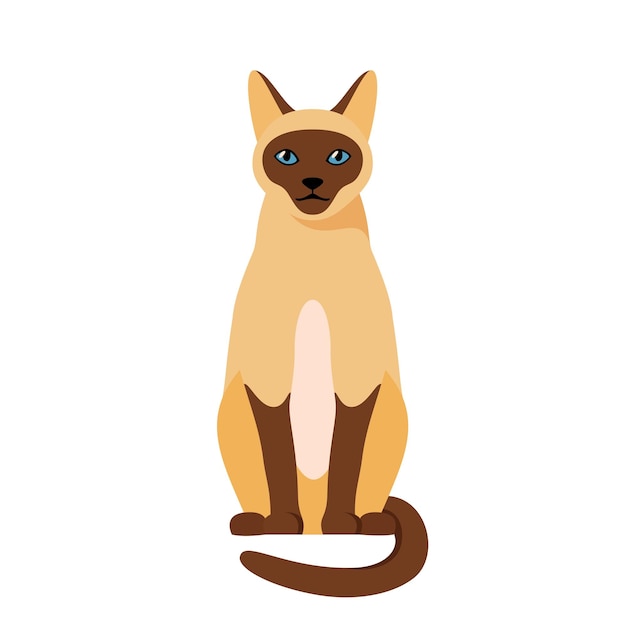 Siamese cat sitting Cute thai domestic cat Vector illustration in flat style