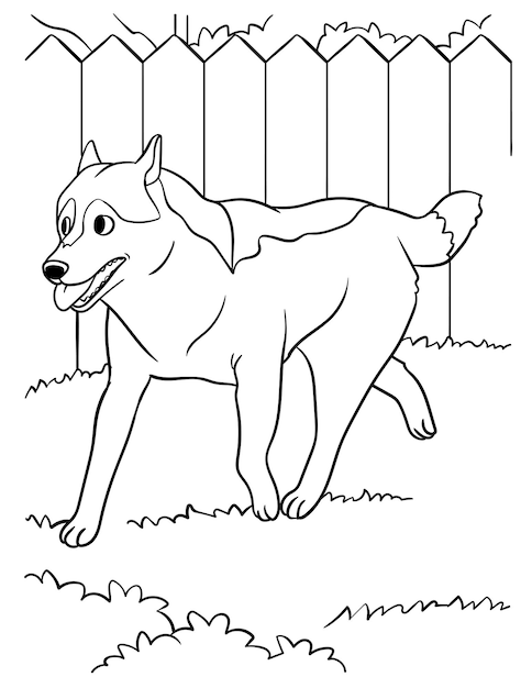 Siberian Husky Coloring Page for Kids