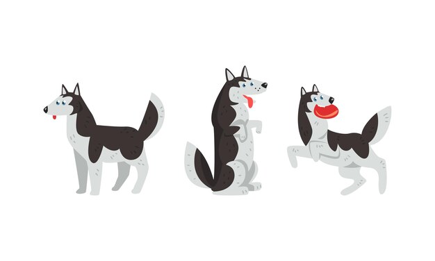 Vector siberian husky standing on hind legs and playing vector set