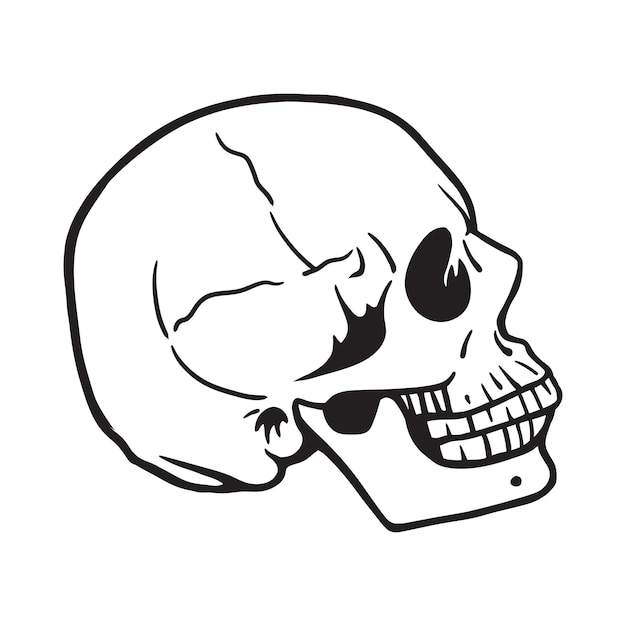 Side view of a human head skull Black and white vector illustration