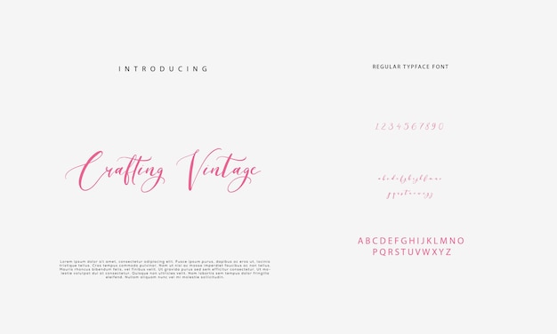 Vector signature font calligraphy logotype script brush font type font lettering handwritten