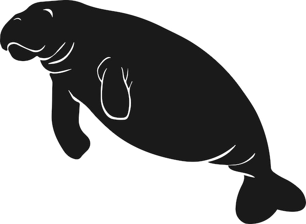 a silhouette of an Amazonian manatee in a relaxed swimming pose