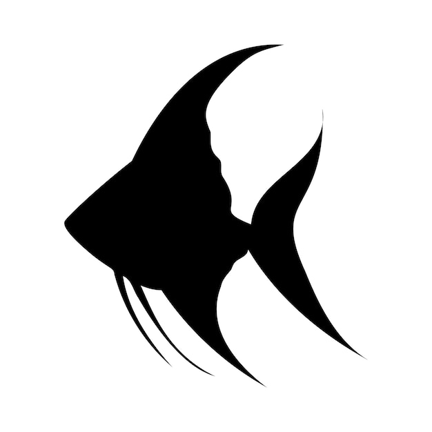 Silhouette of angelfish