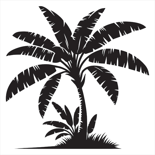 Silhouette Of Banana Tree Icons black and white Banana Tree Cartoon Vector Illustration Black Stoc