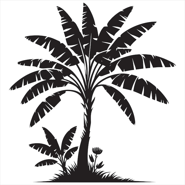 Silhouette Of Banana Tree Icons black and white Banana Tree Cartoon Vector Illustration Black Stoc