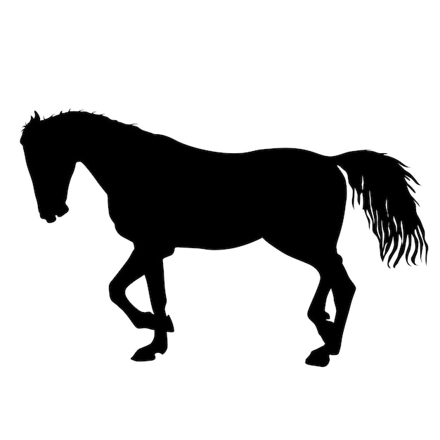 Silhouette of black mustang horse vector illustration