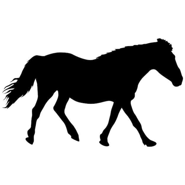 Silhouette of black mustang horse vector illustration