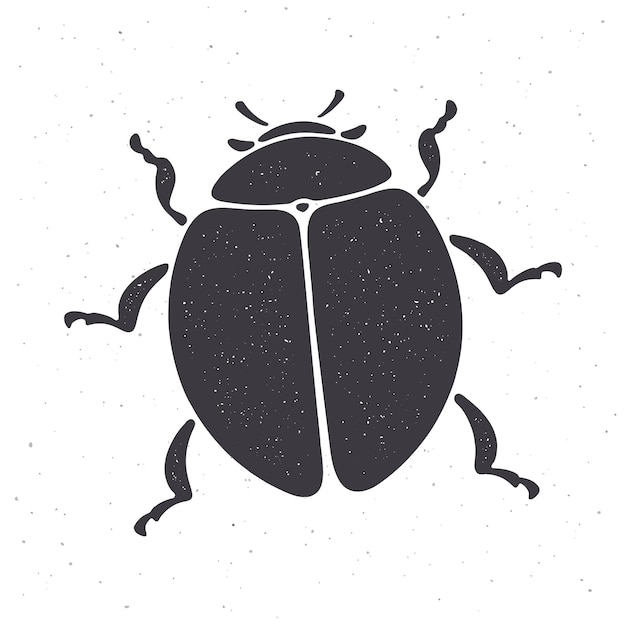 Silhouette of bug top view Vector illustration Insect in nature Vector illustration