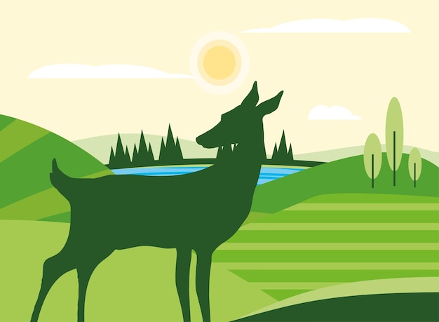 Silhouette deer in meadow