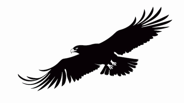 Vector silhouette of eagle wild bird vector illustration