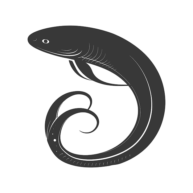 Silhouette eel animal black color only