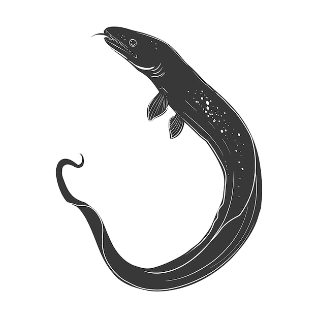 Silhouette eel animal black color only