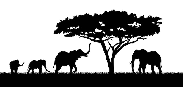 Silhouette of elephants and tree