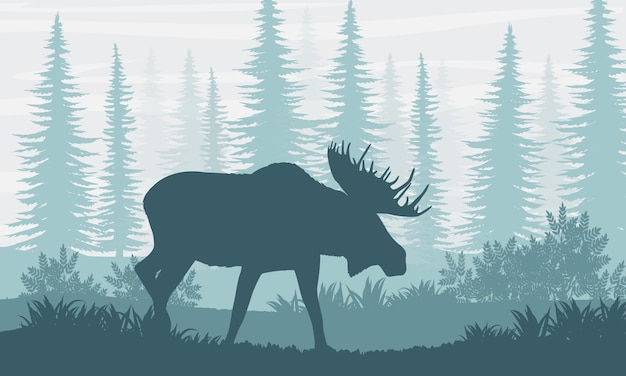 Silhouette. Elk with big horns on the background of Canadian fir trees