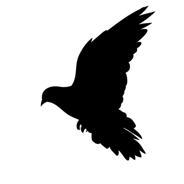 Silhouette of flying bird