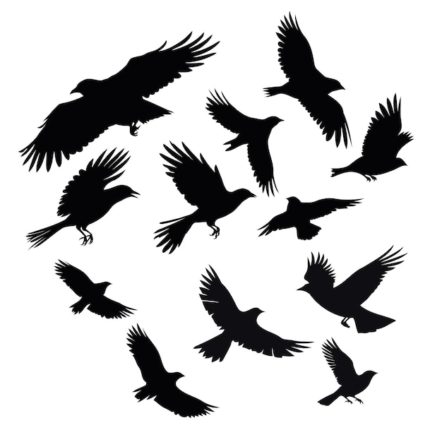 Silhouette flying crow vector illustration isolated on white background