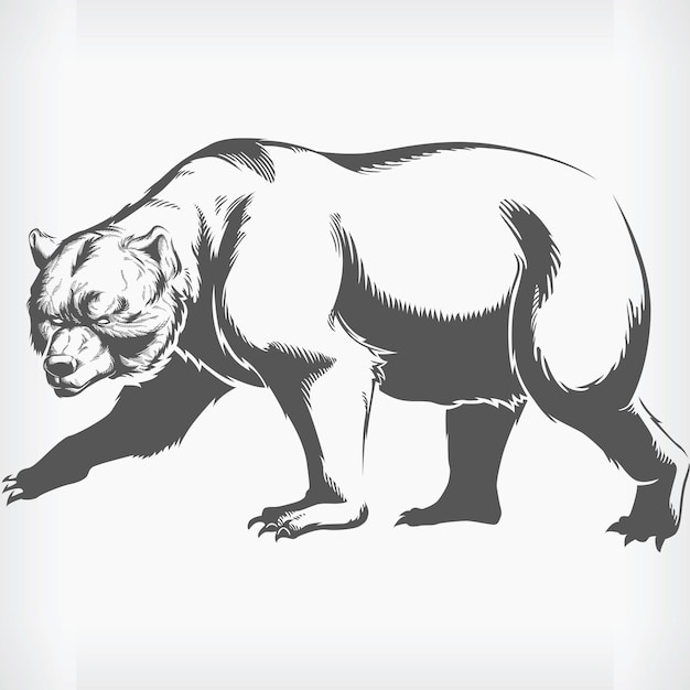 Vector silhouette grizzly brown bear walking stencil isolated vector drawing