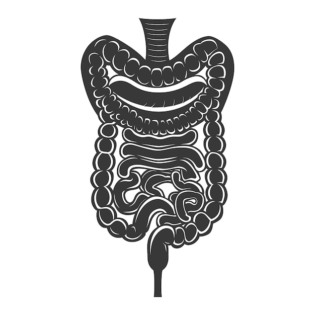 Silhouette human intestine black color only