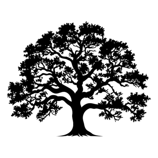 Silhouette of a large majestic tree with spreading branches