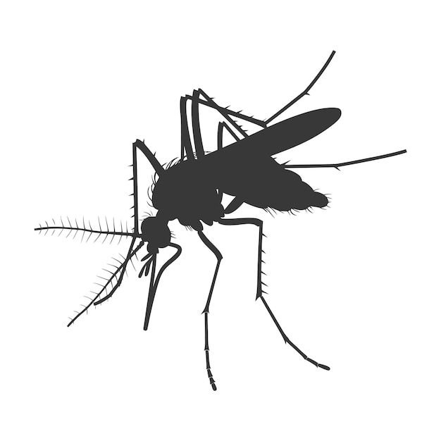 Silhouette mosquito animal black color only full body