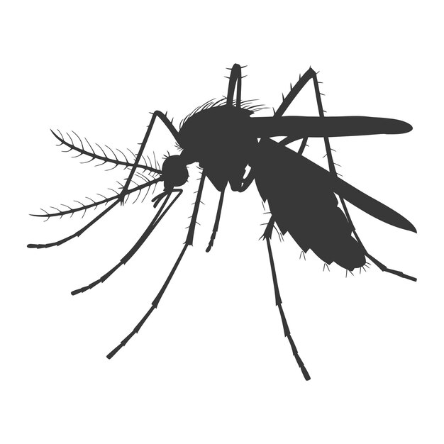 Silhouette mosquito animal black color only full body