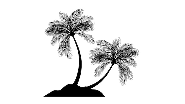 silhouette of palm tree