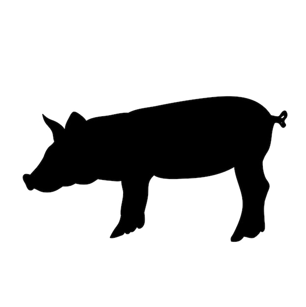 Silhouette pig isolated