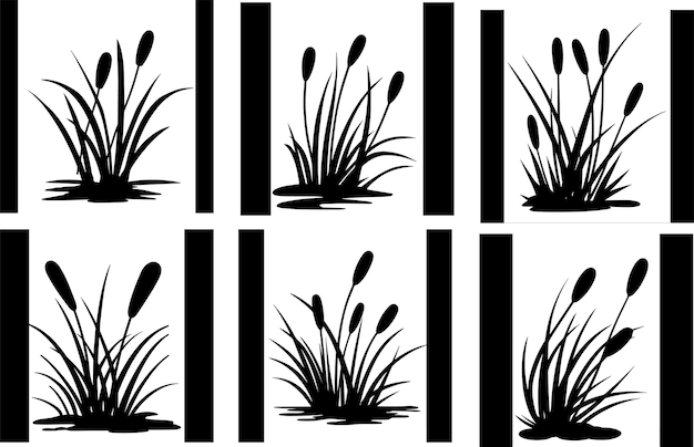 Vector silhouette reed plant vector image